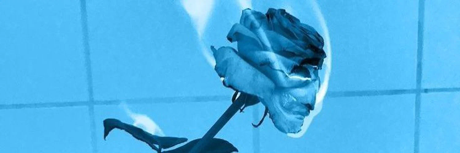 Adán Deary profile banner