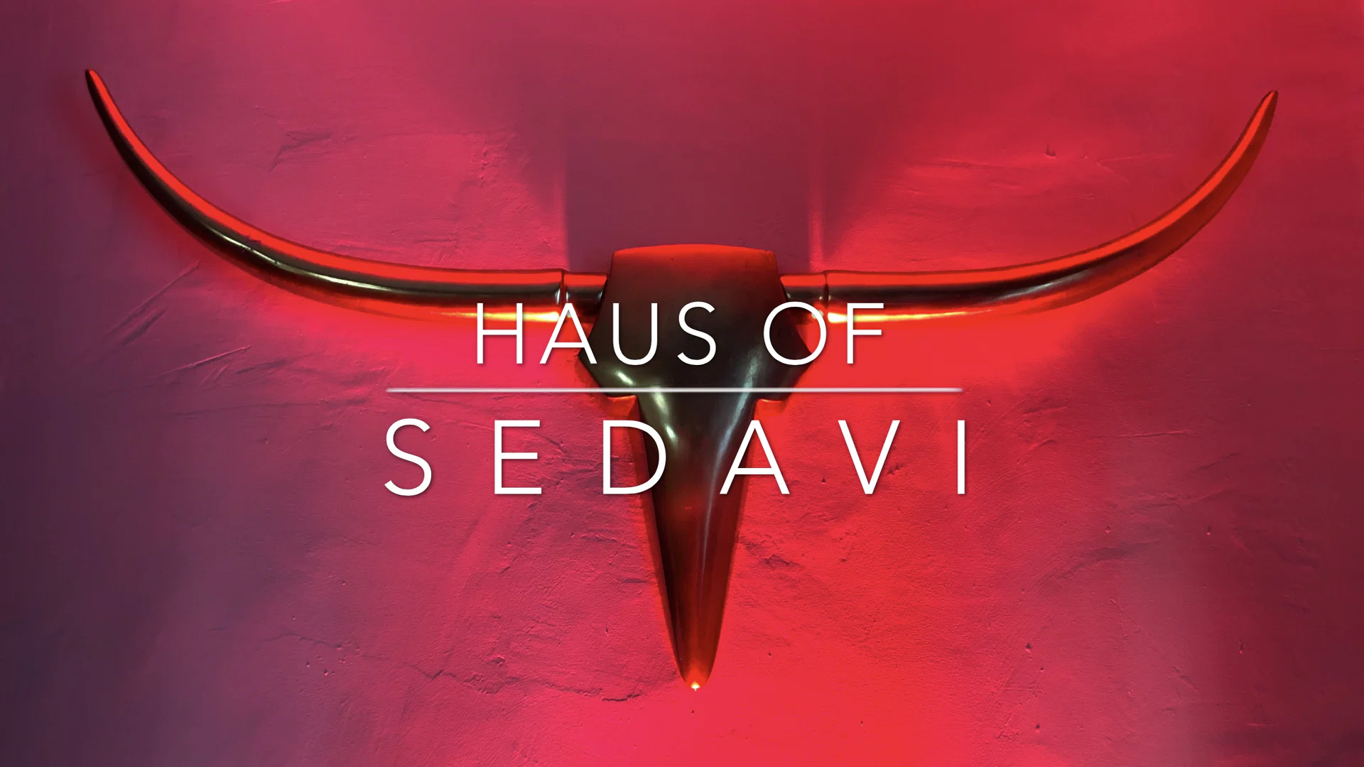 HAUS OF SEDAVI profile banner