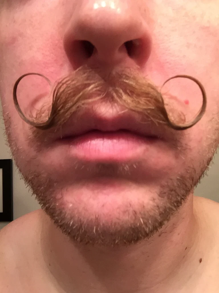 Moustacheo's avatar
