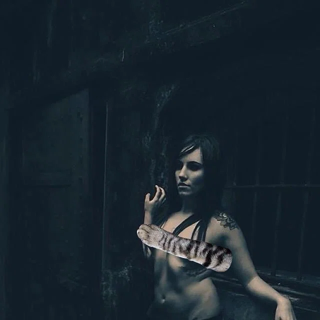 Evey profile banner