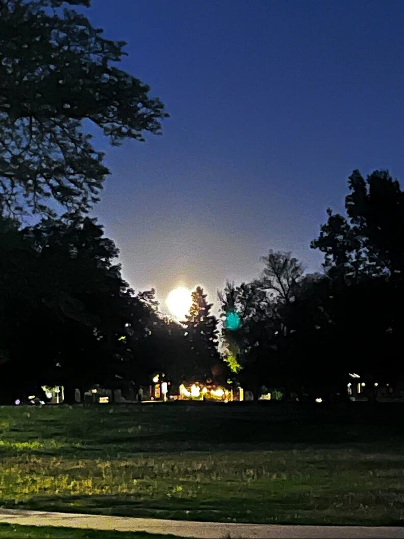 TSAlex profile banner