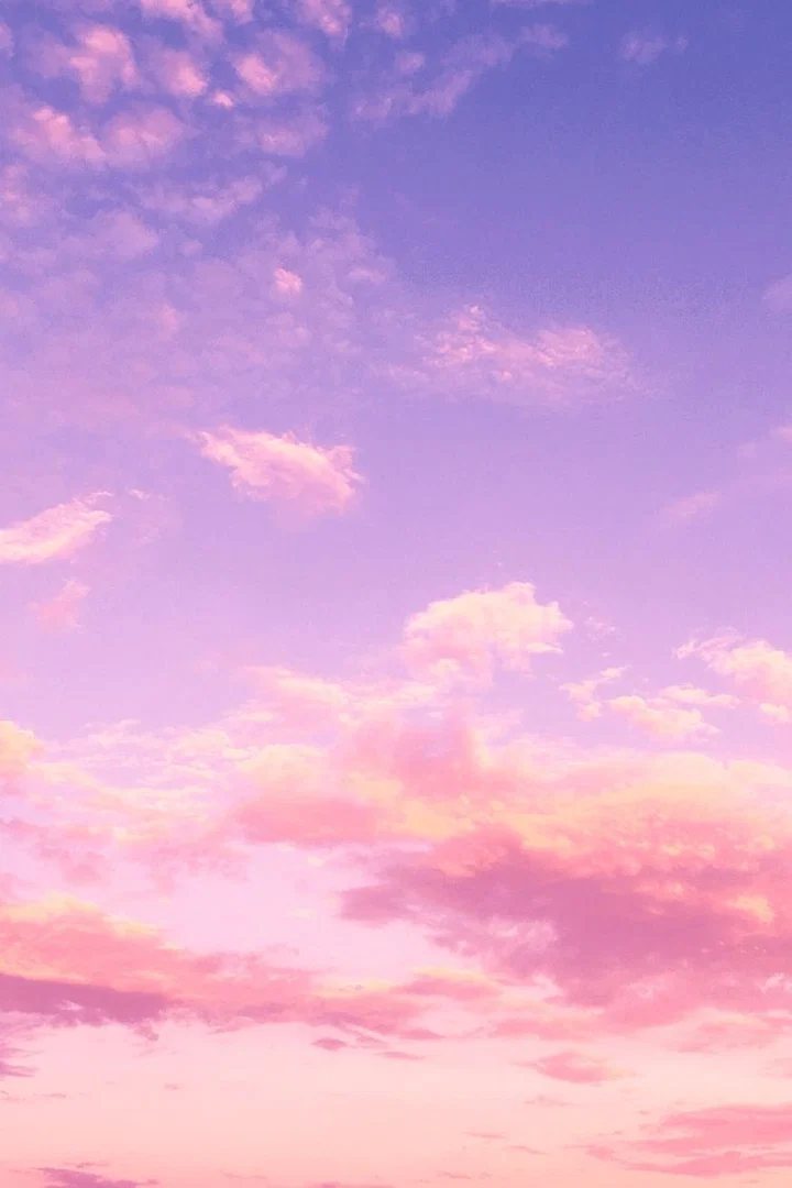 V I P E R profile banner