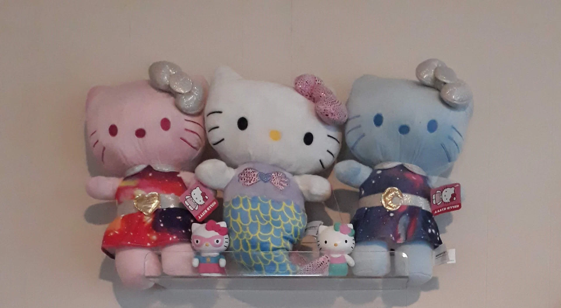 Cat profile banner