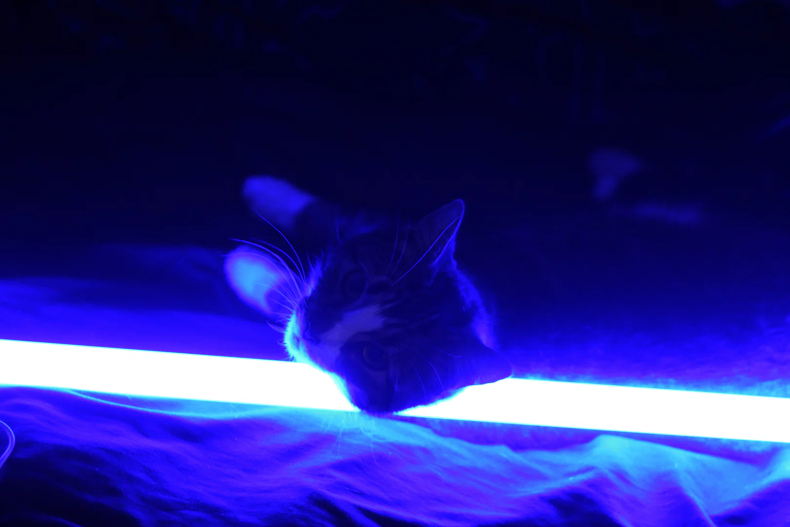 Buttahsmoove profile banner