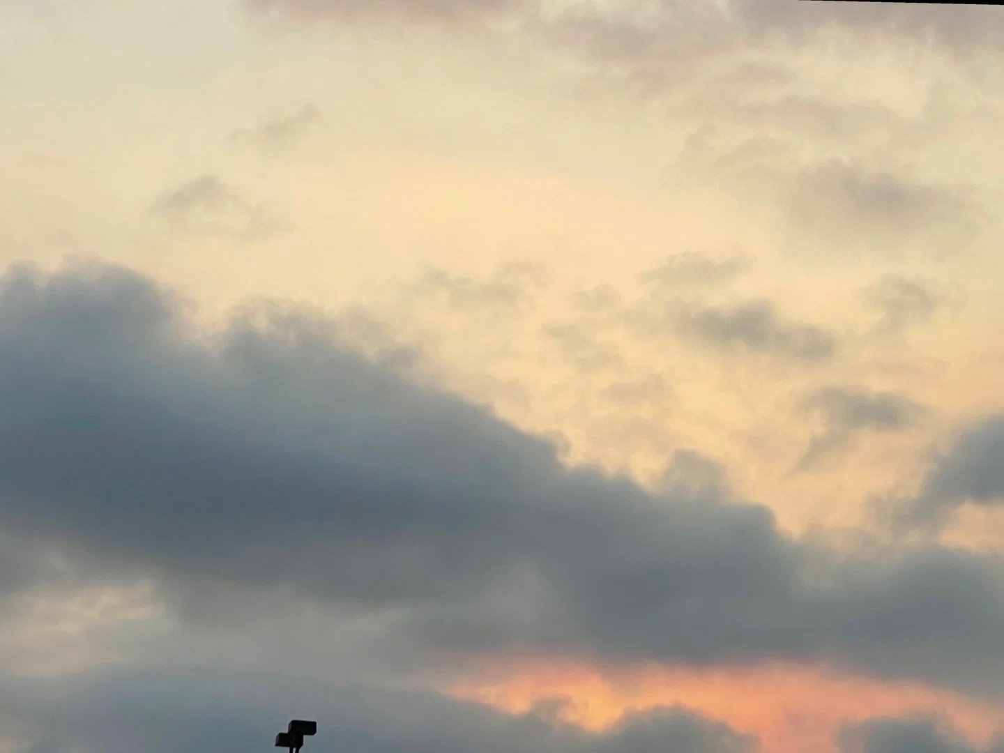 CELπ§π½ββοΈ profile banner