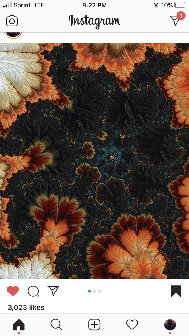 𝖙𝖗𝖊𝖞 𝖕𝖚𝖌𝖆 profile banner