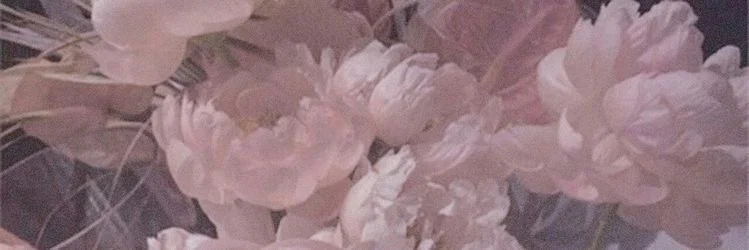 Petal π· profile banner
