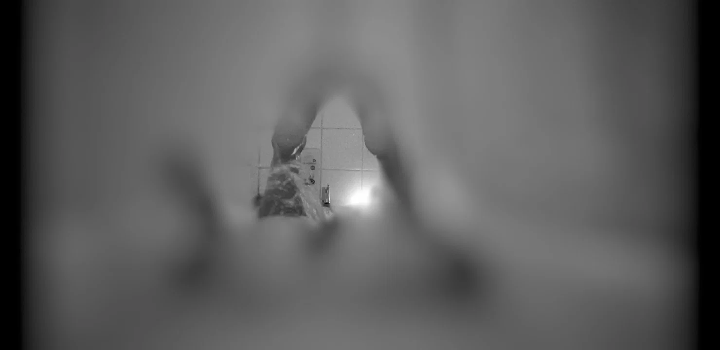 B E L L A profile banner