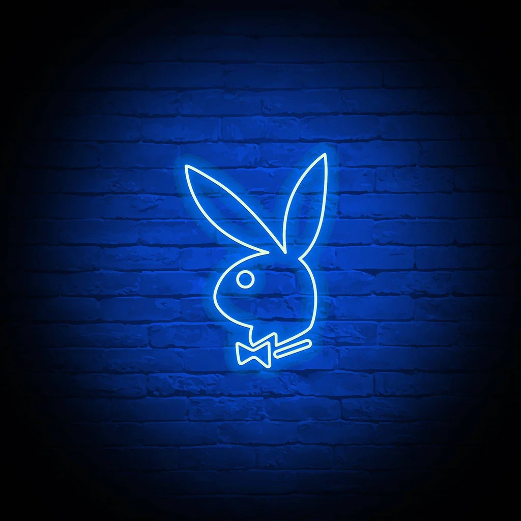 PlayBoy