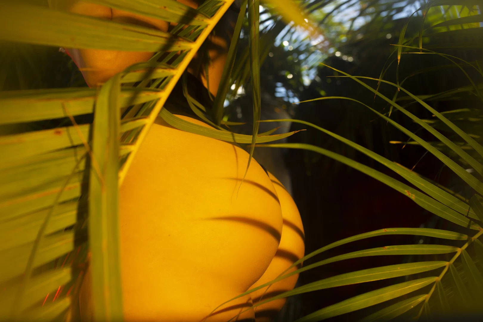 Dahlia Luxxx profile banner