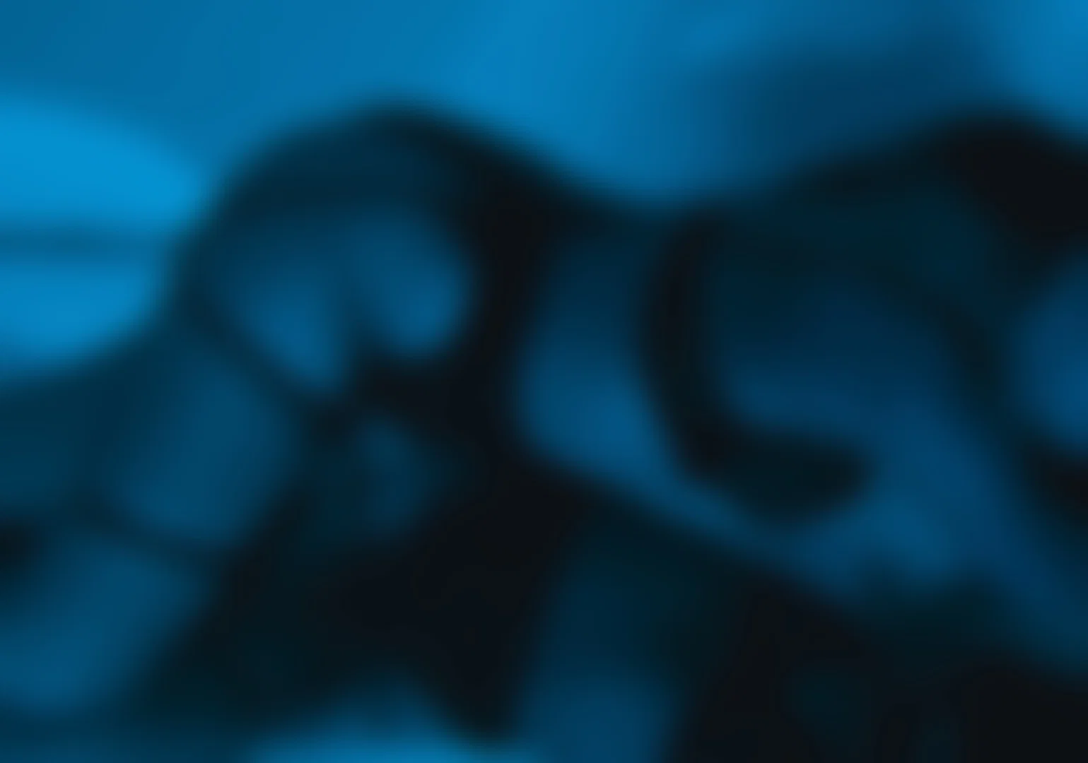 Wuly profile banner