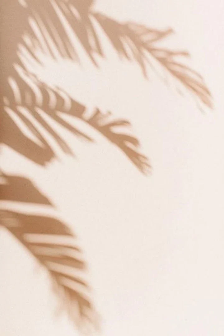 Von’roe profile banner