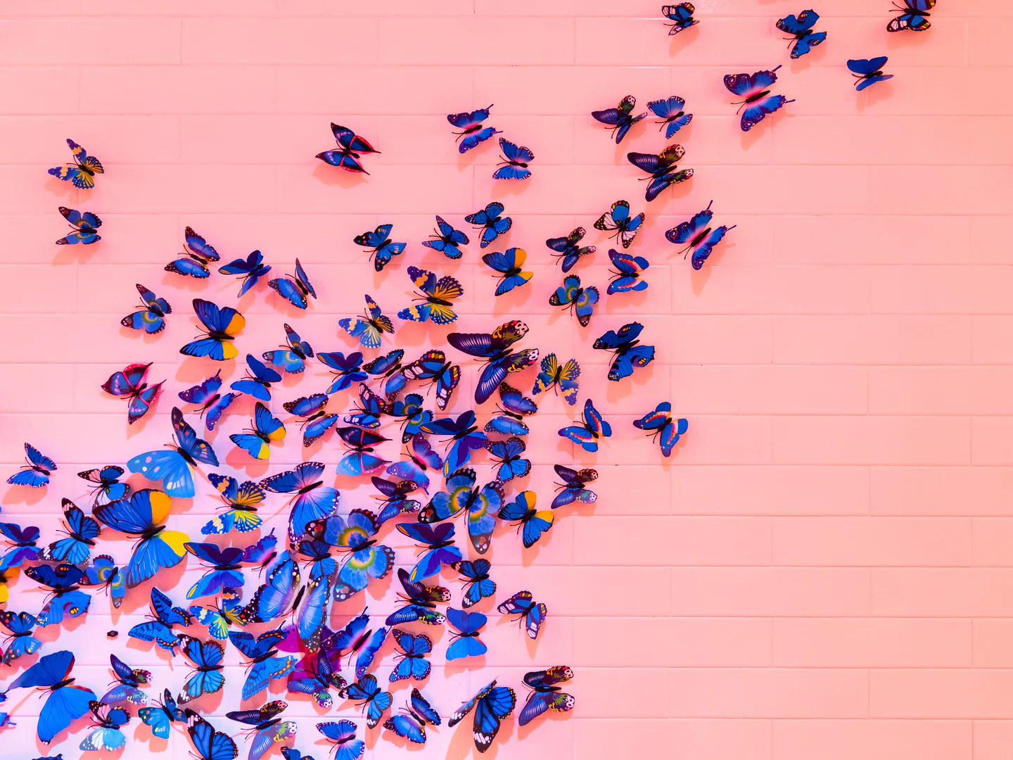 MaryButterfly profile banner