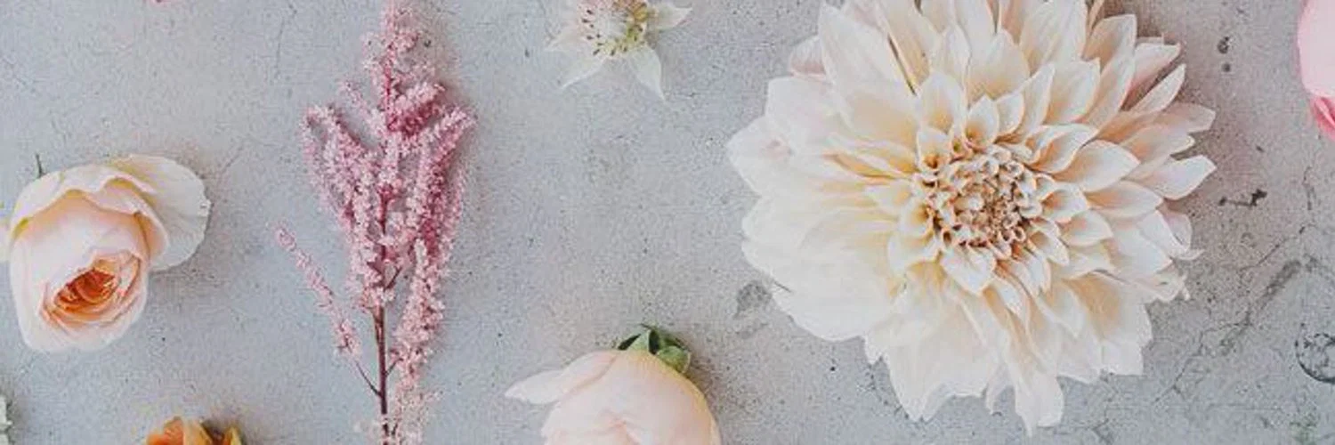 goddess Ni ๐ธ profile banner