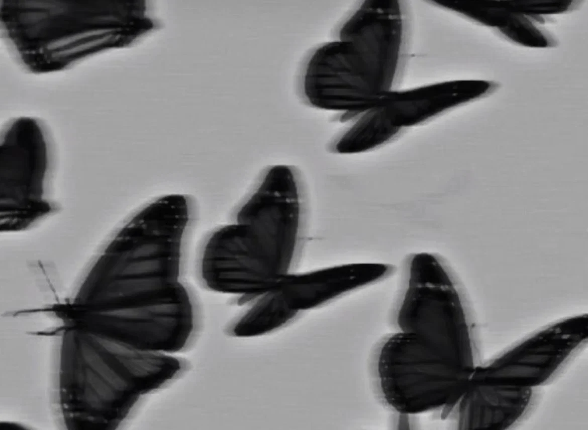 🖤Jayde🖤 profile banner