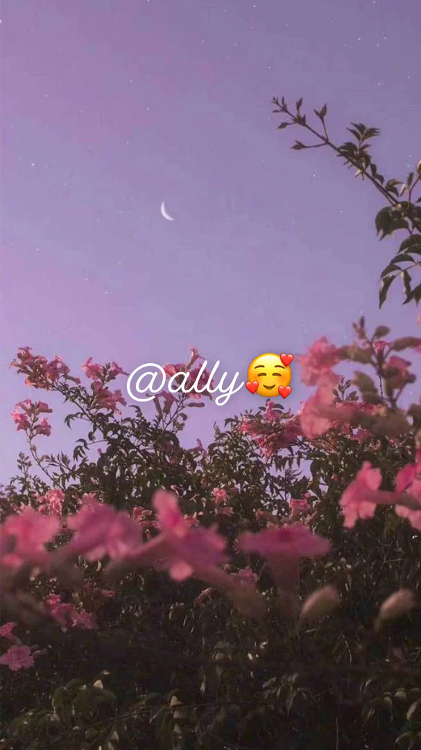 Ally🥰 profile banner