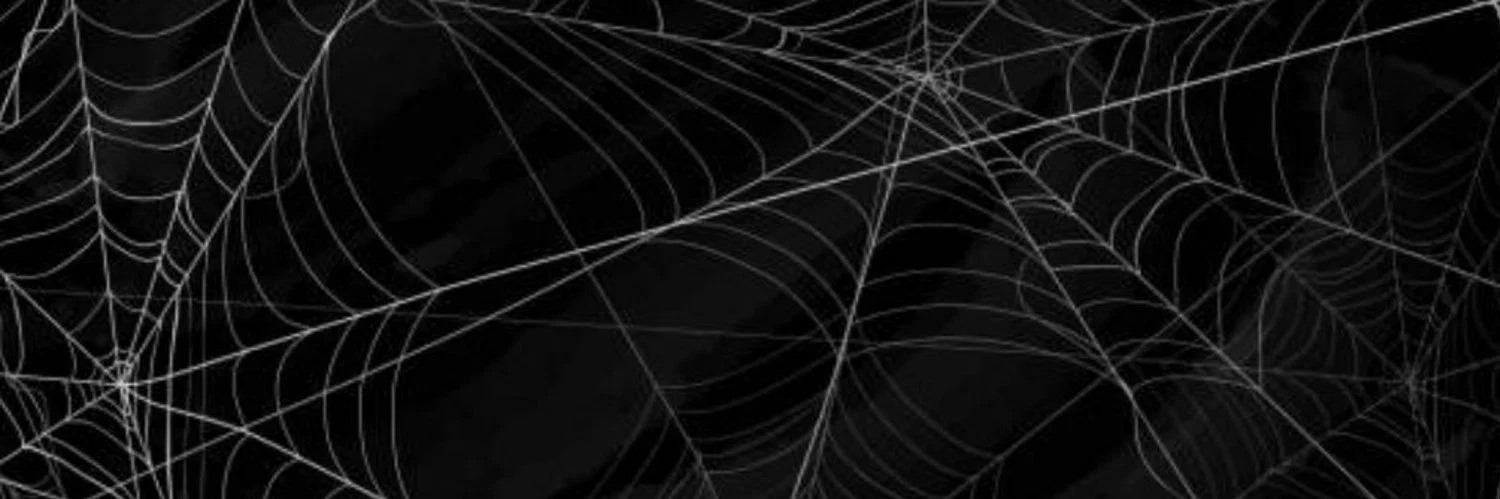 ⛓Violet Reign⛓ profile banner