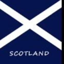 Mark Hammond's avatar