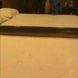 Funguy