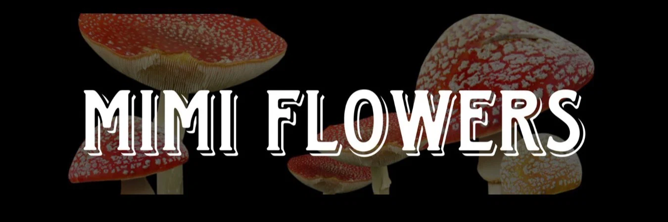 Mimi Flowers profile banner