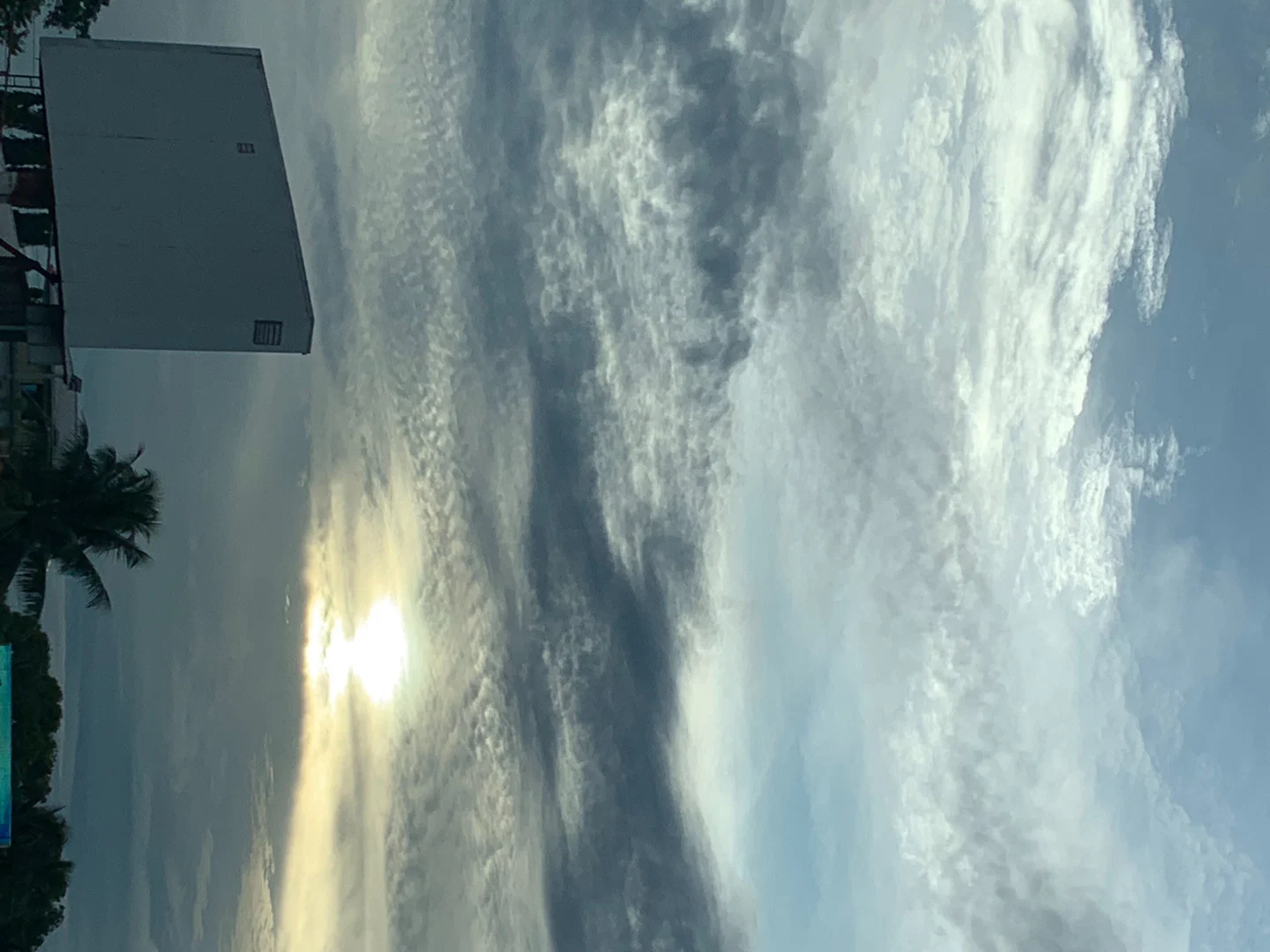 El Camino profile banner