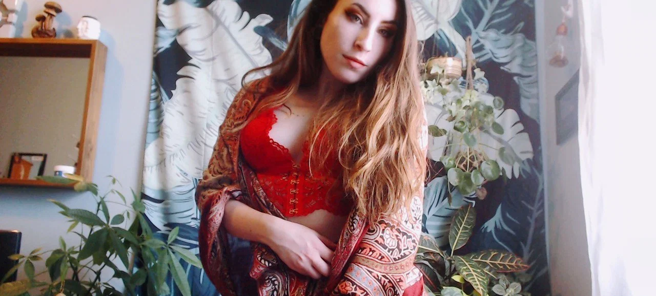 🌙 ᴘᴇʀsᴇᴘʜᴏɴᴇ 🌞 profile banner