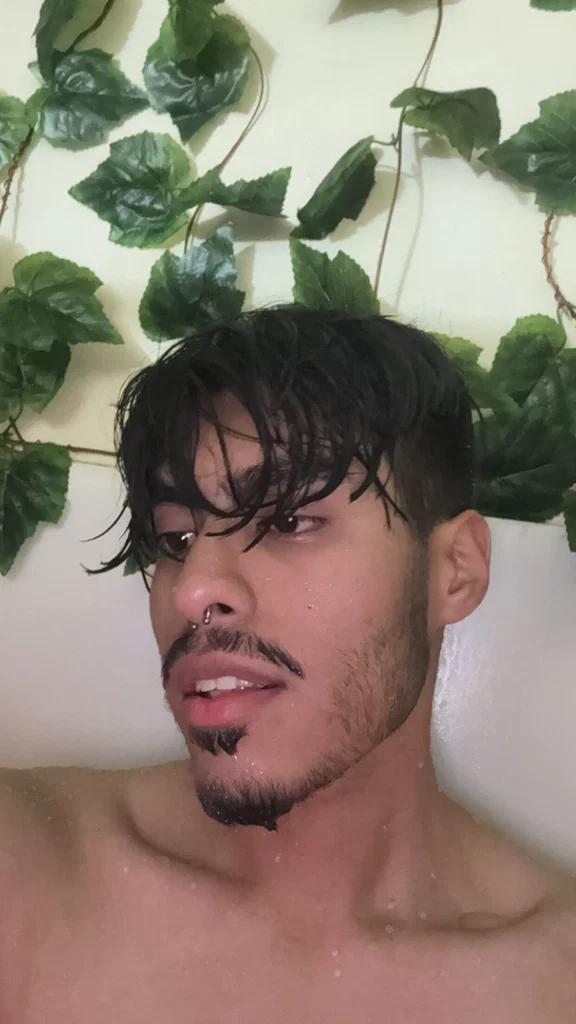 sonochammy