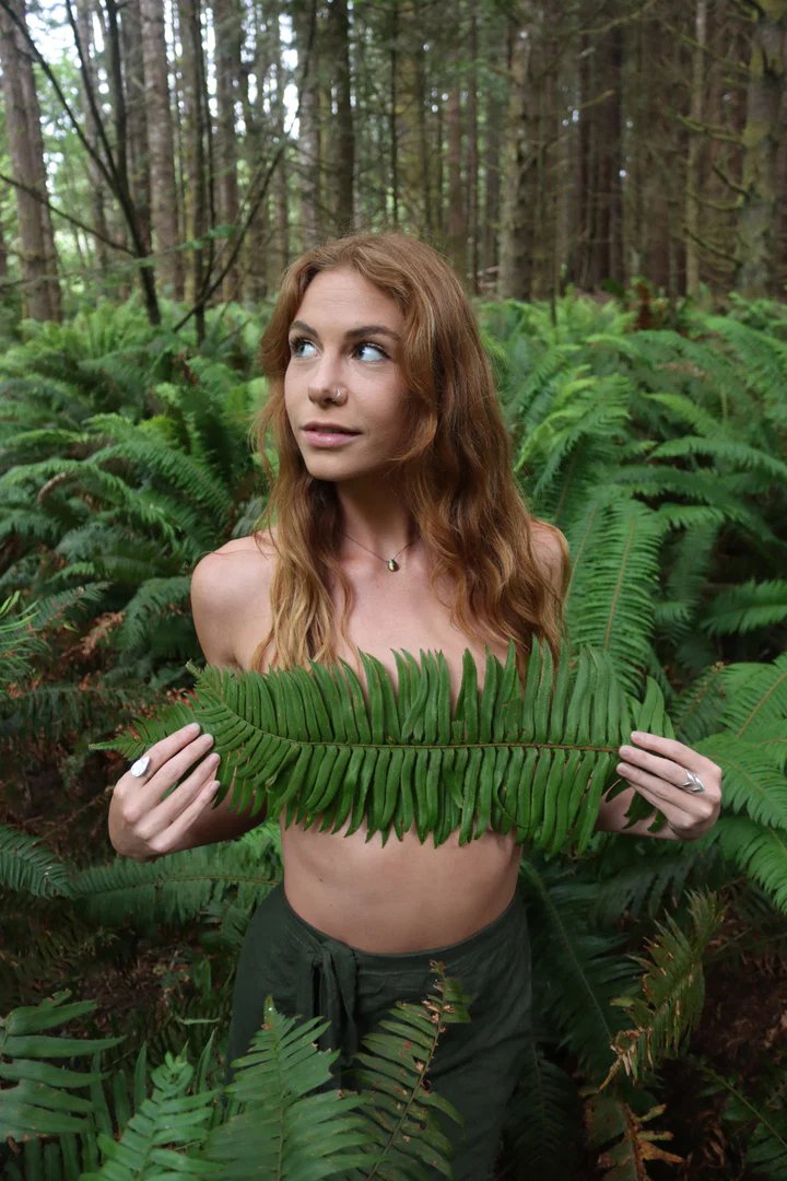 honeyyfern profile banner