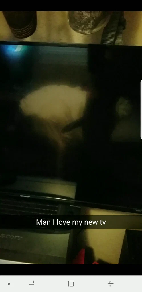 brad's avatar