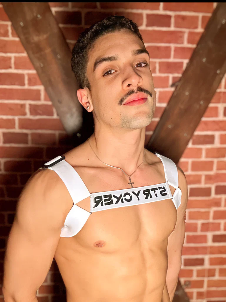 Renato Moura's avatar
