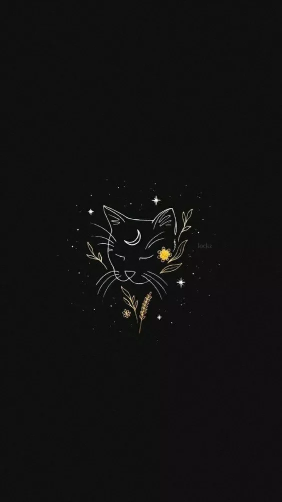 Venus Moon's avatar