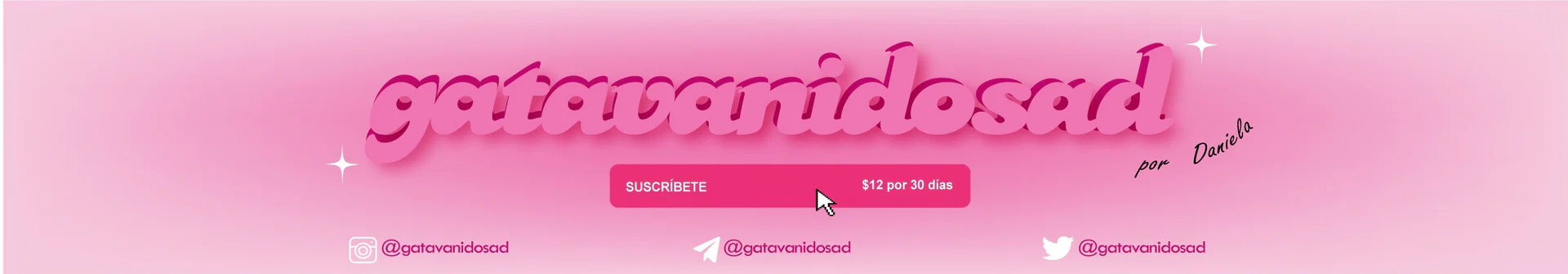 dani π profile banner