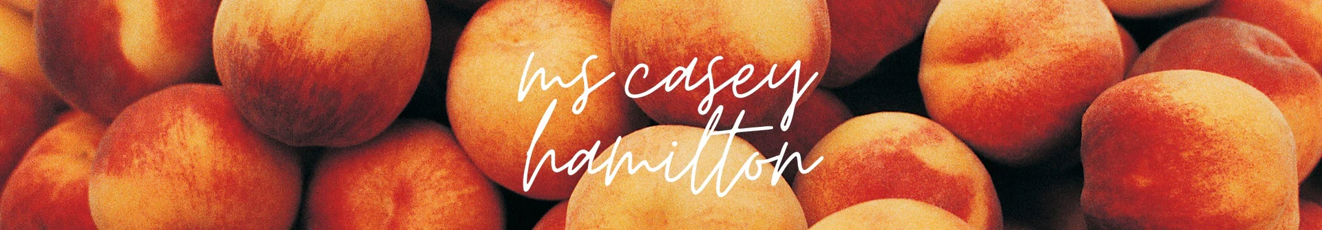 casey hamilton ✨ profile banner