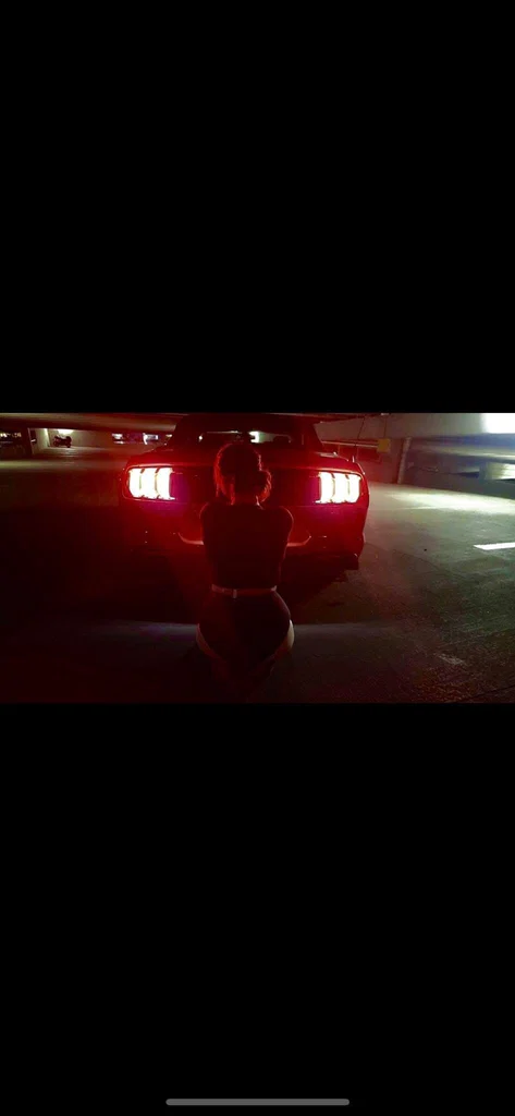 Velvet_Rose