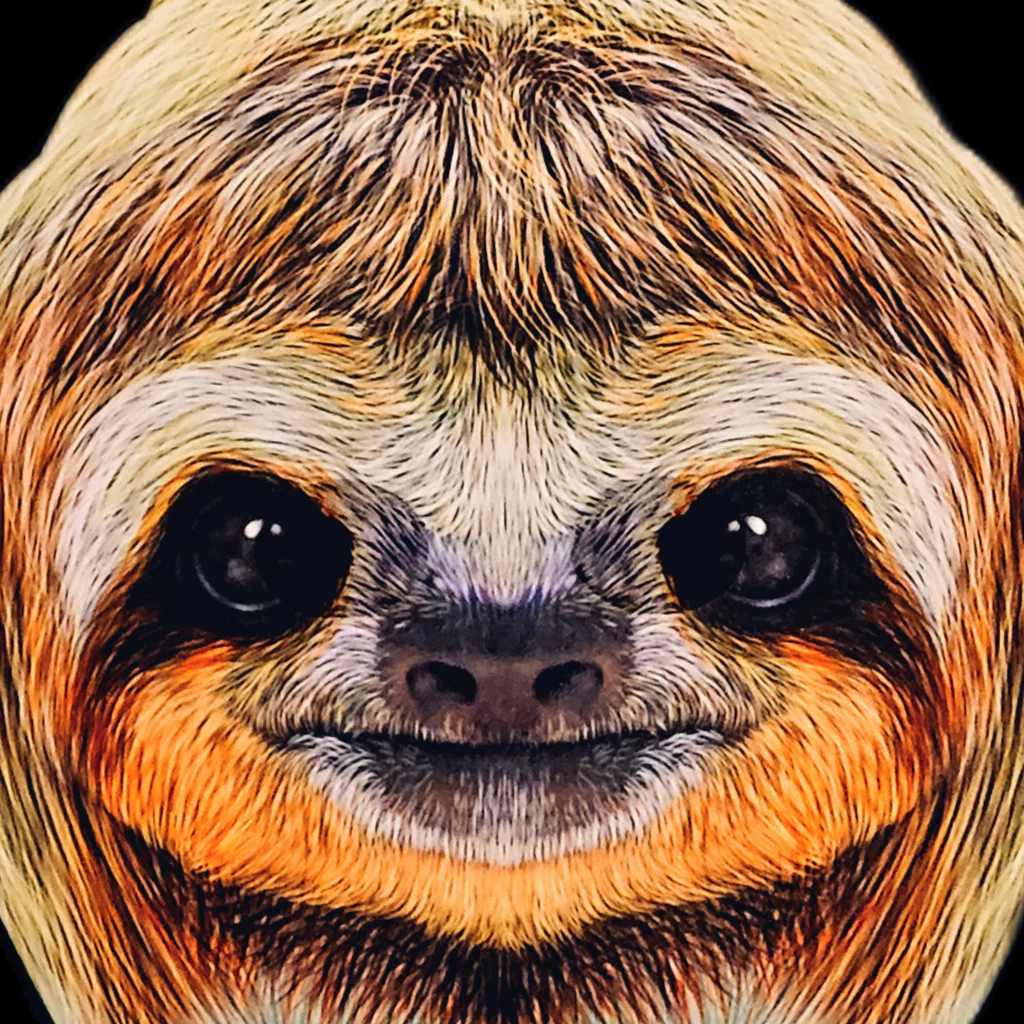 Slothstronaut's avatar