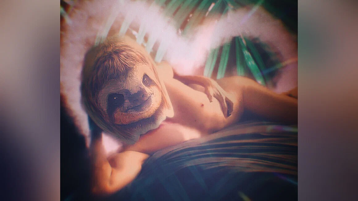 Slothstronaut profile banner
