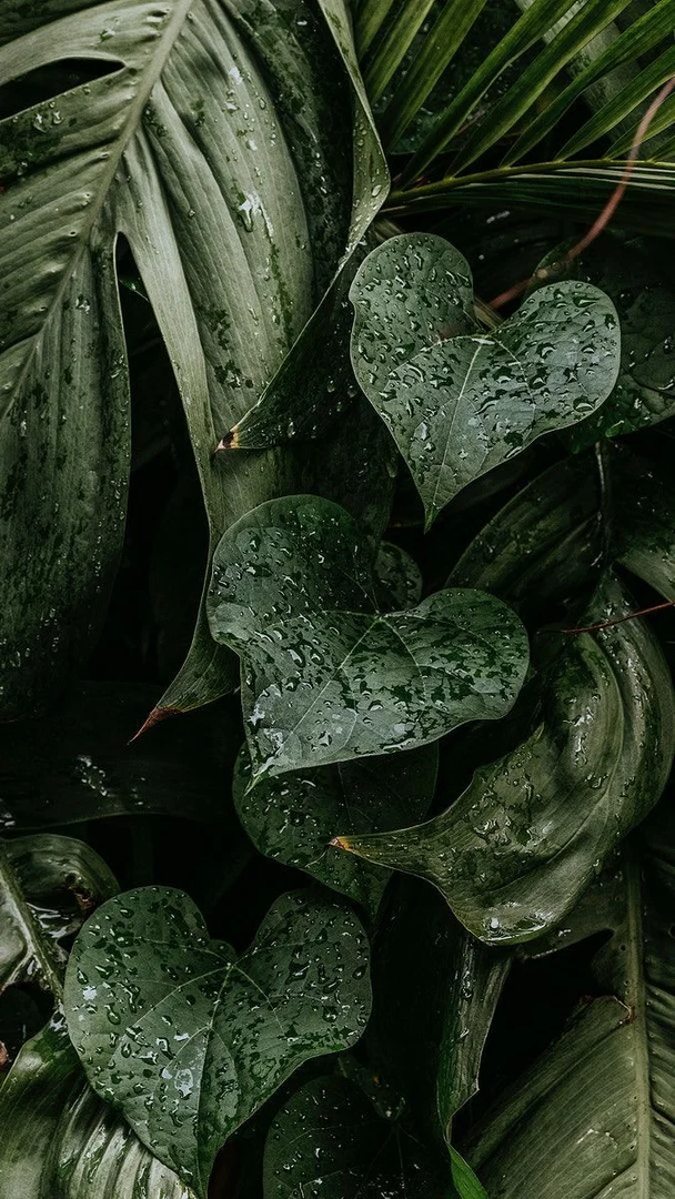 Anna grace profile banner