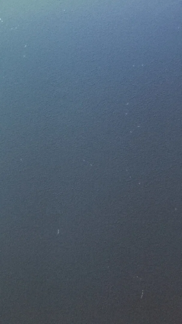 Dreamy profile banner