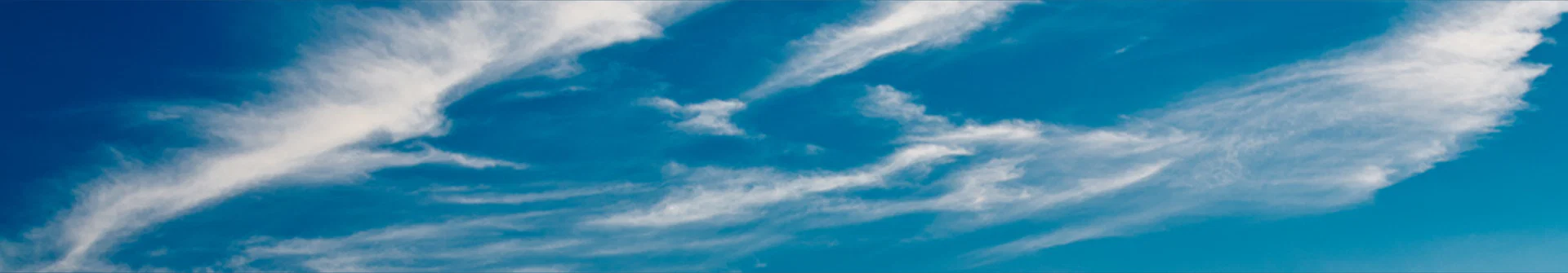 Magnet Video profile banner