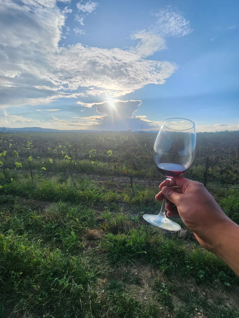 Wine profile banner
