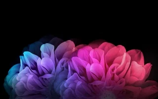 Jules Love profile banner