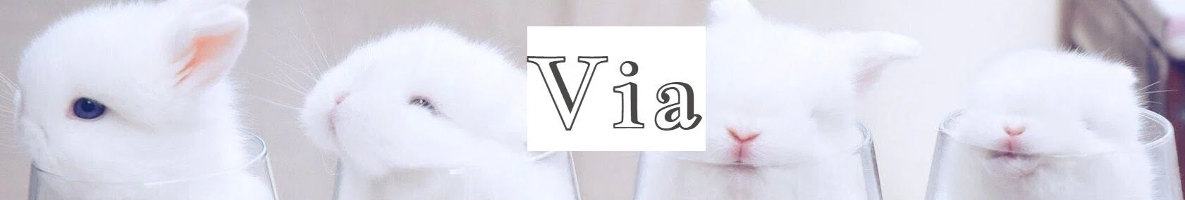 Via profile banner