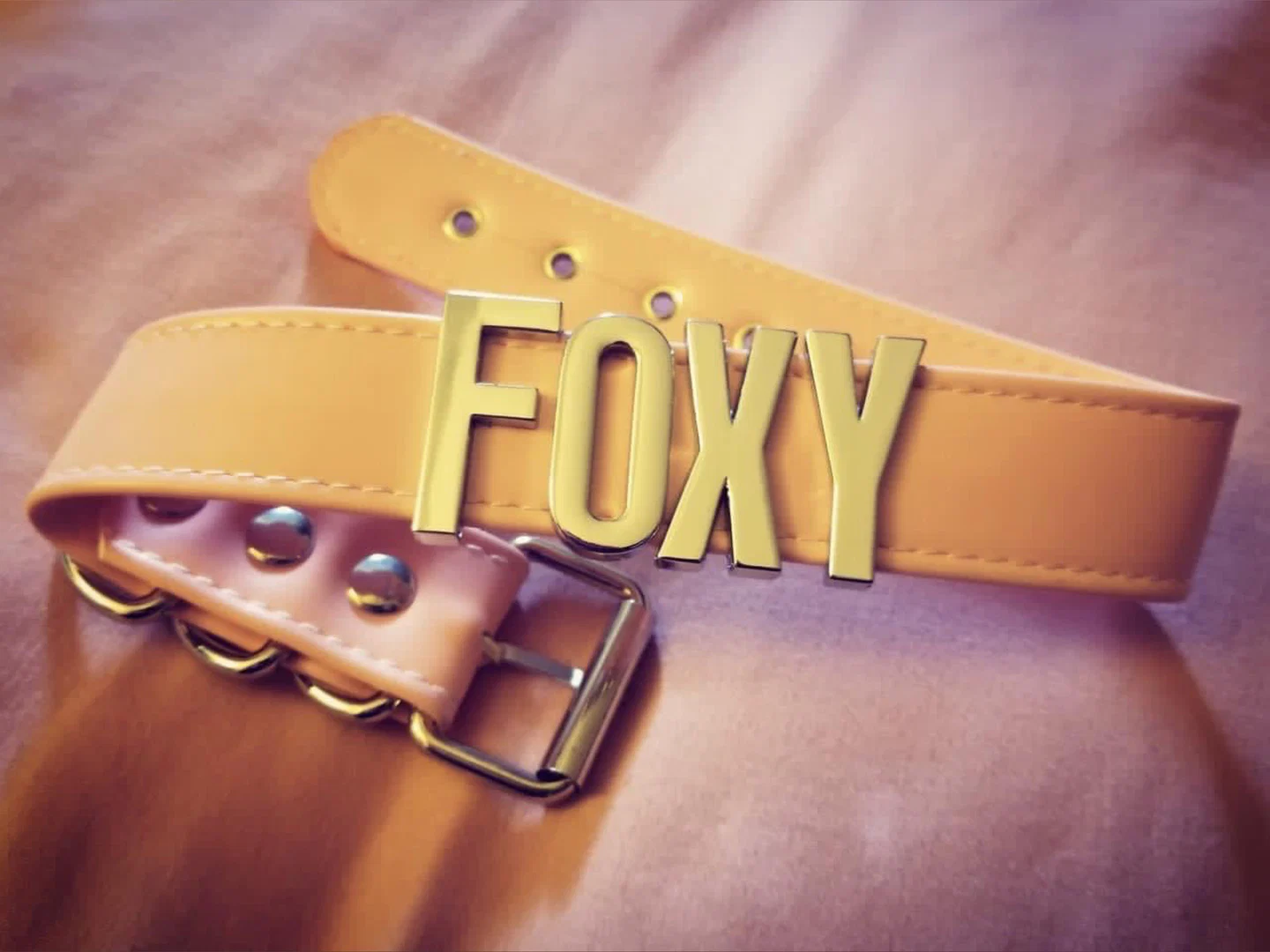 Pretty Pink Foxy profile banner