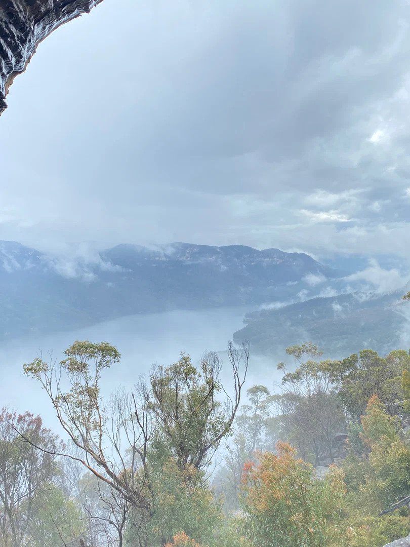 Trav profile banner