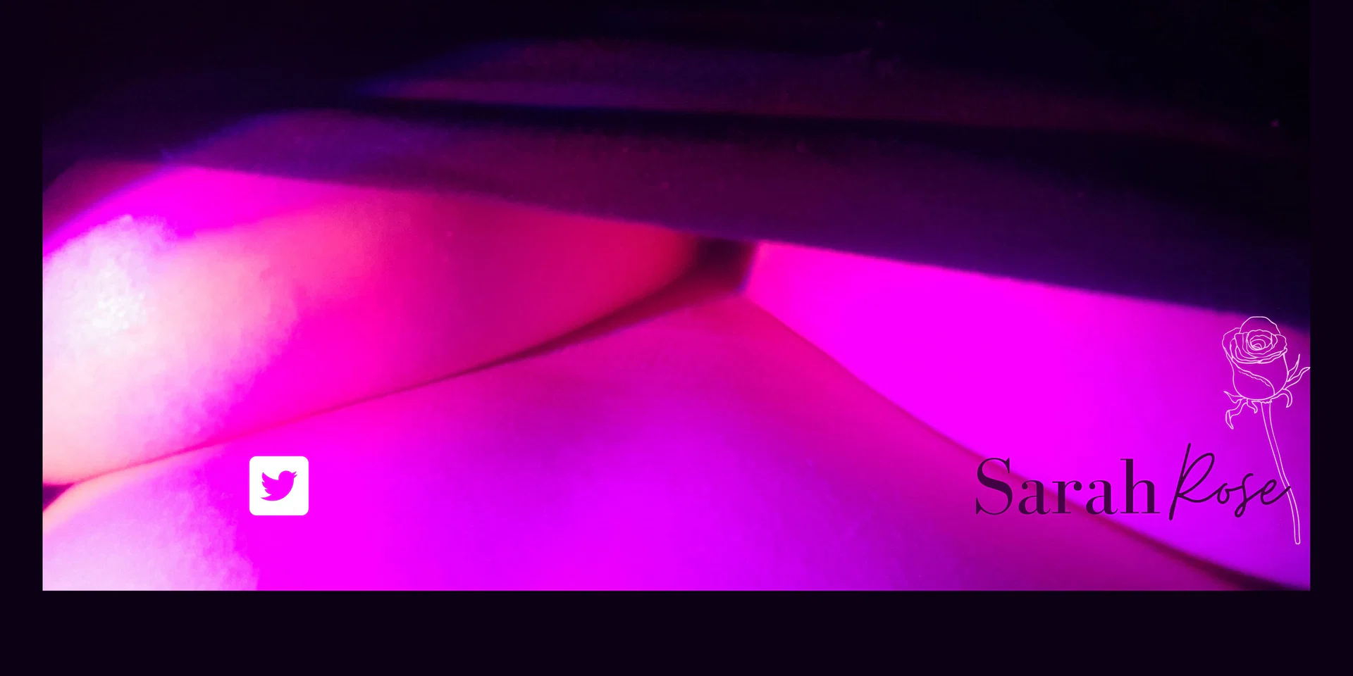 SarahRose profile banner