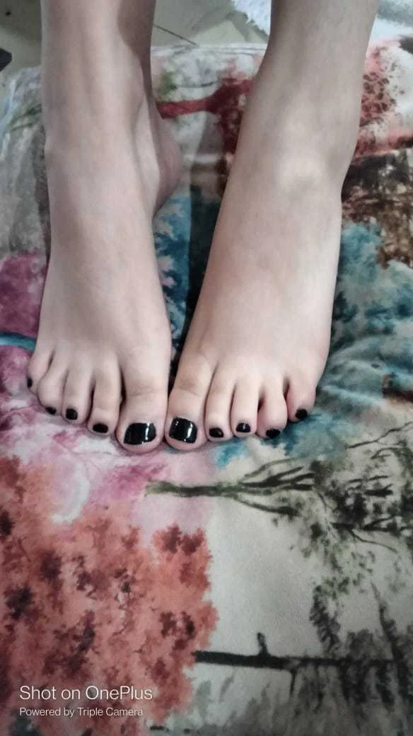 Amy Patitas profile banner