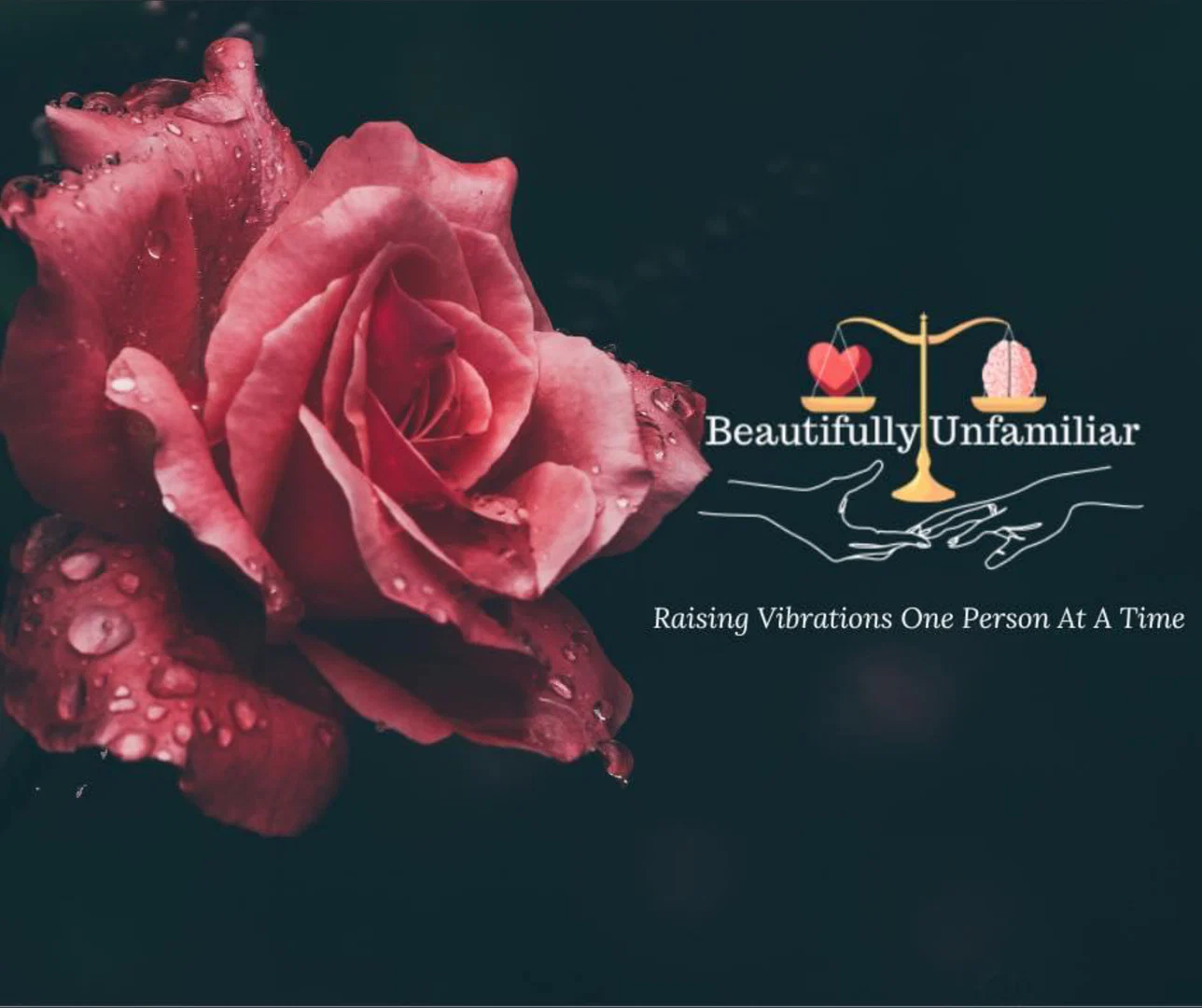 Ayla profile banner