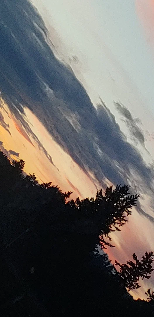 Kitty Marie profile banner
