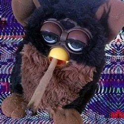 LP's avatar