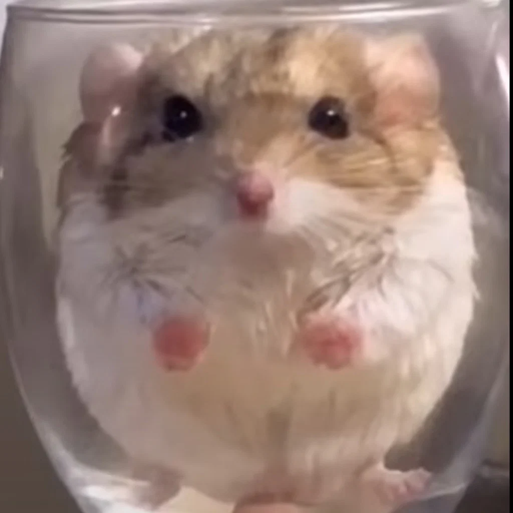SomeFatAssedItalian's avatar